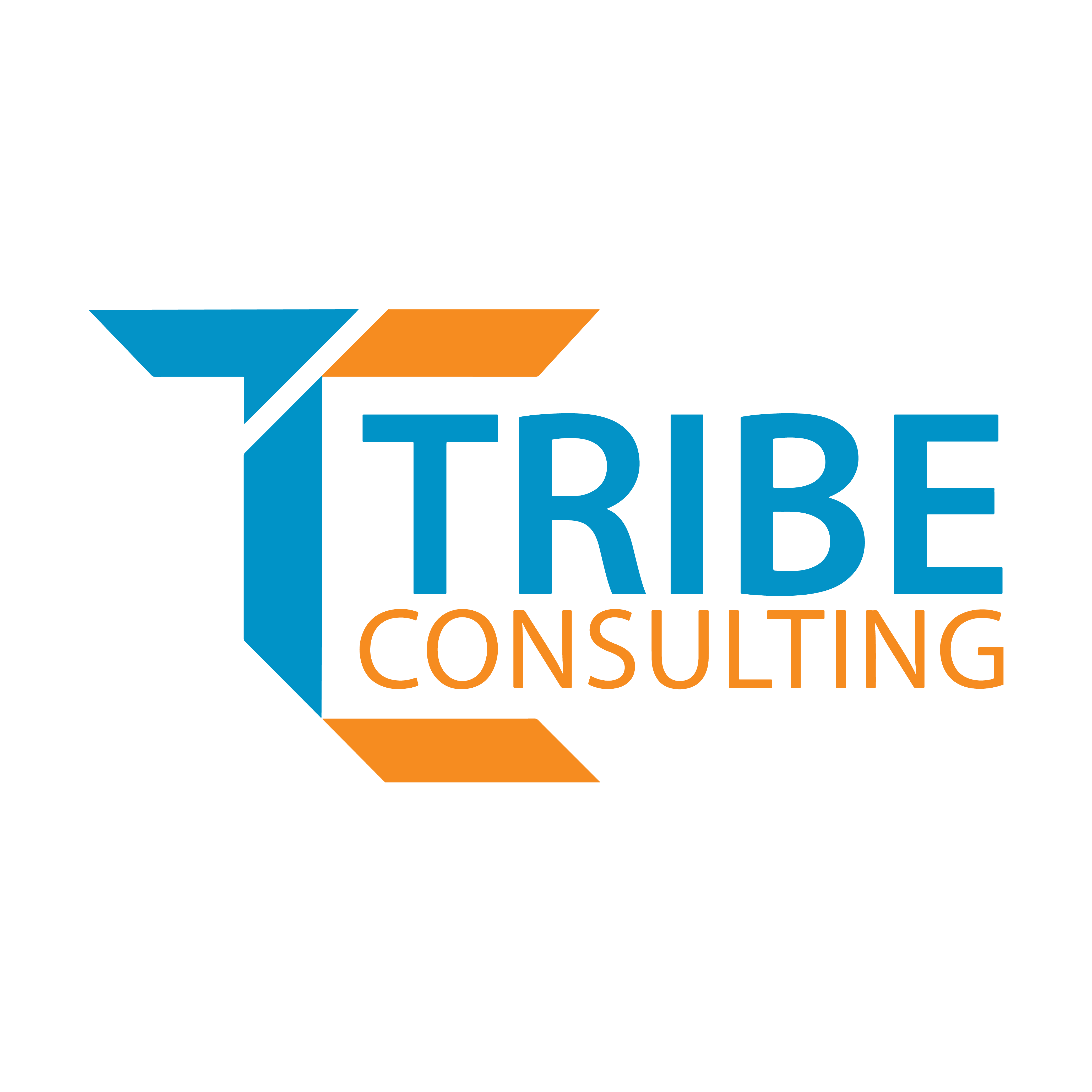 Tribe Consulting